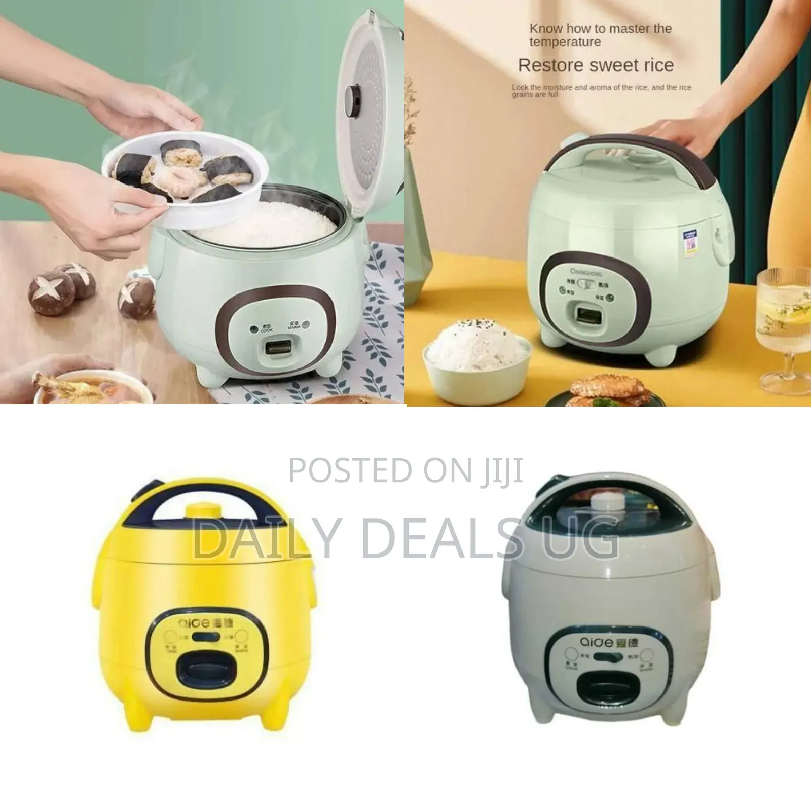 Aide Compact Electric Rice Cooker - Multicolor