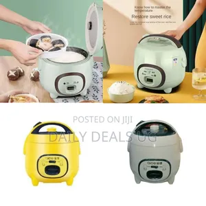 Aide Compact Electric Rice Cooker - Multicolor