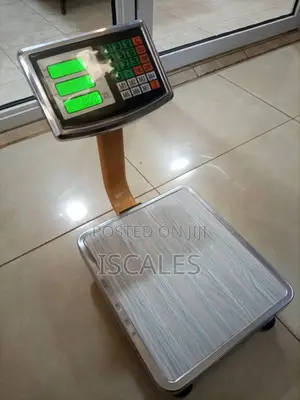 Platform Portable Weighing Scale Weigh 80kg Accurate Weighing Scale