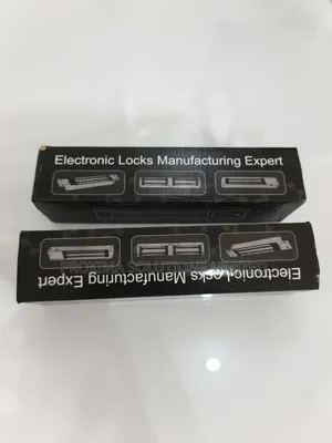 Door Magnetic Lock
