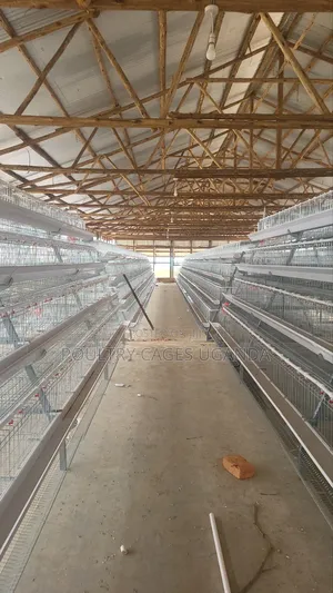 Poultry Cages