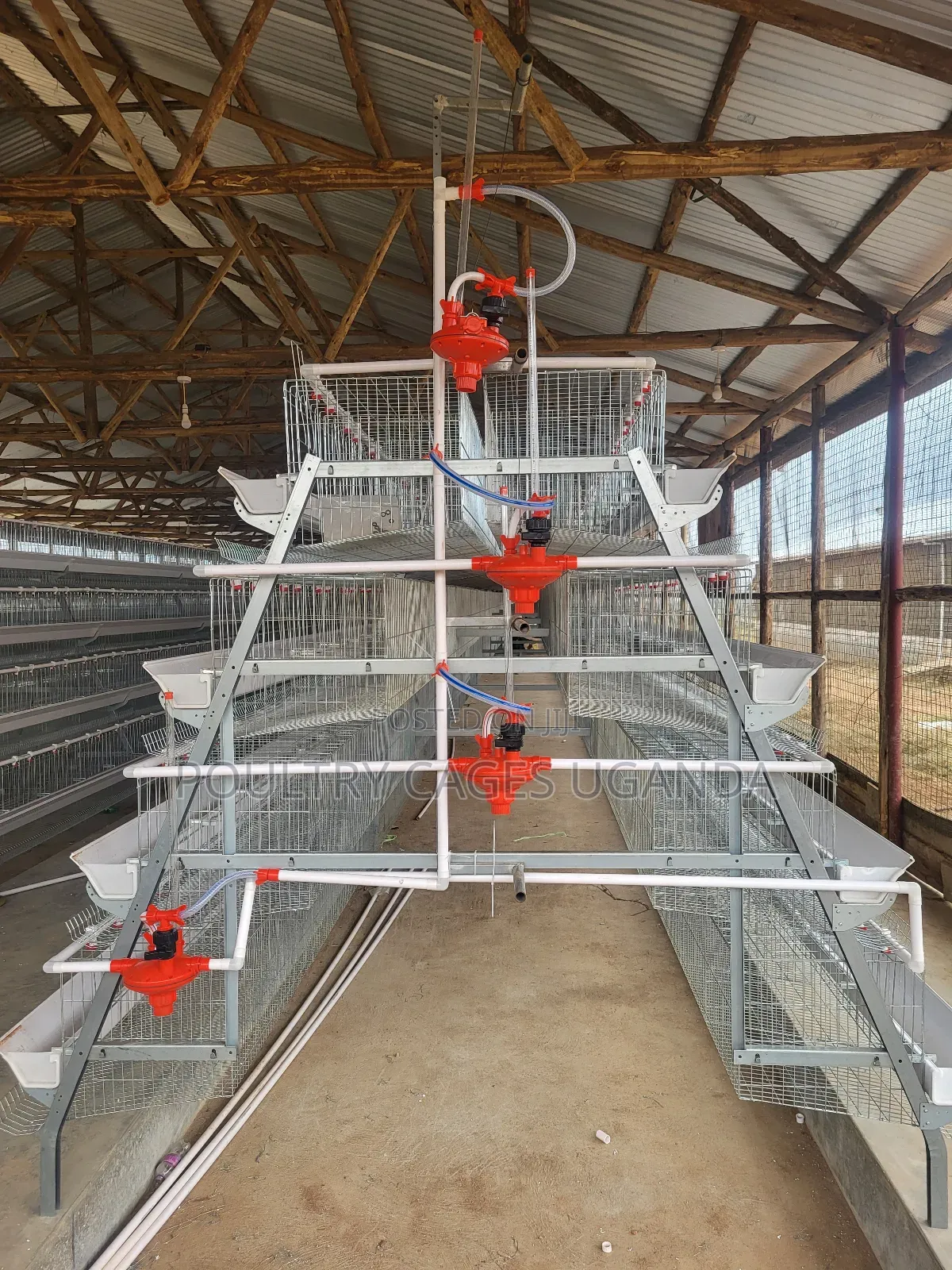 Poultry Cages