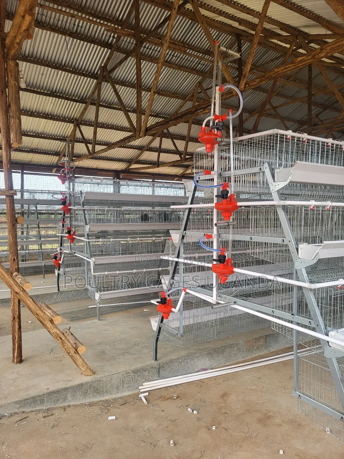 Poultry Cages