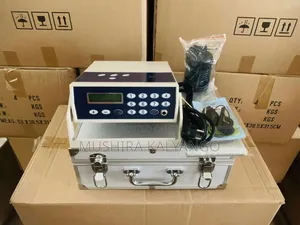 Foot Bath Ionic Detox Machine Dual Ionic Detox Foot Spa