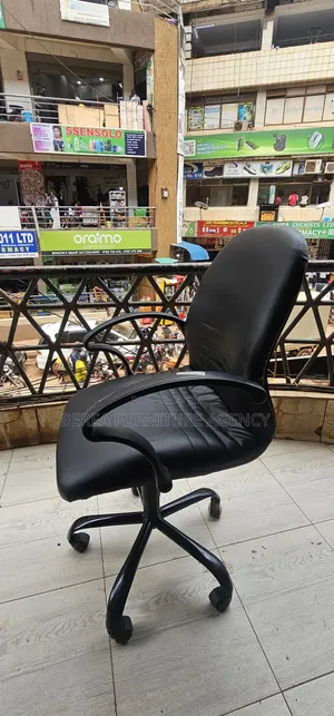 Simple Malaysian Leather Chair