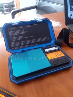 Portable Weigh Mineral 200g/0.01g Weighing Scale Digital Weighing Scal