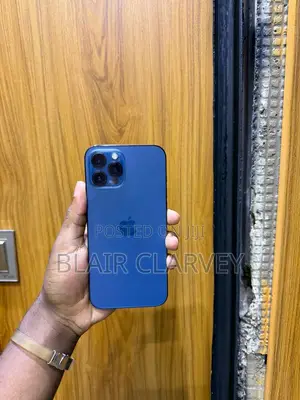 Apple iPhone 12 Pro Max 256 GB Blue