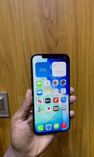 Apple iPhone 12 Pro Max 256 GB Blue