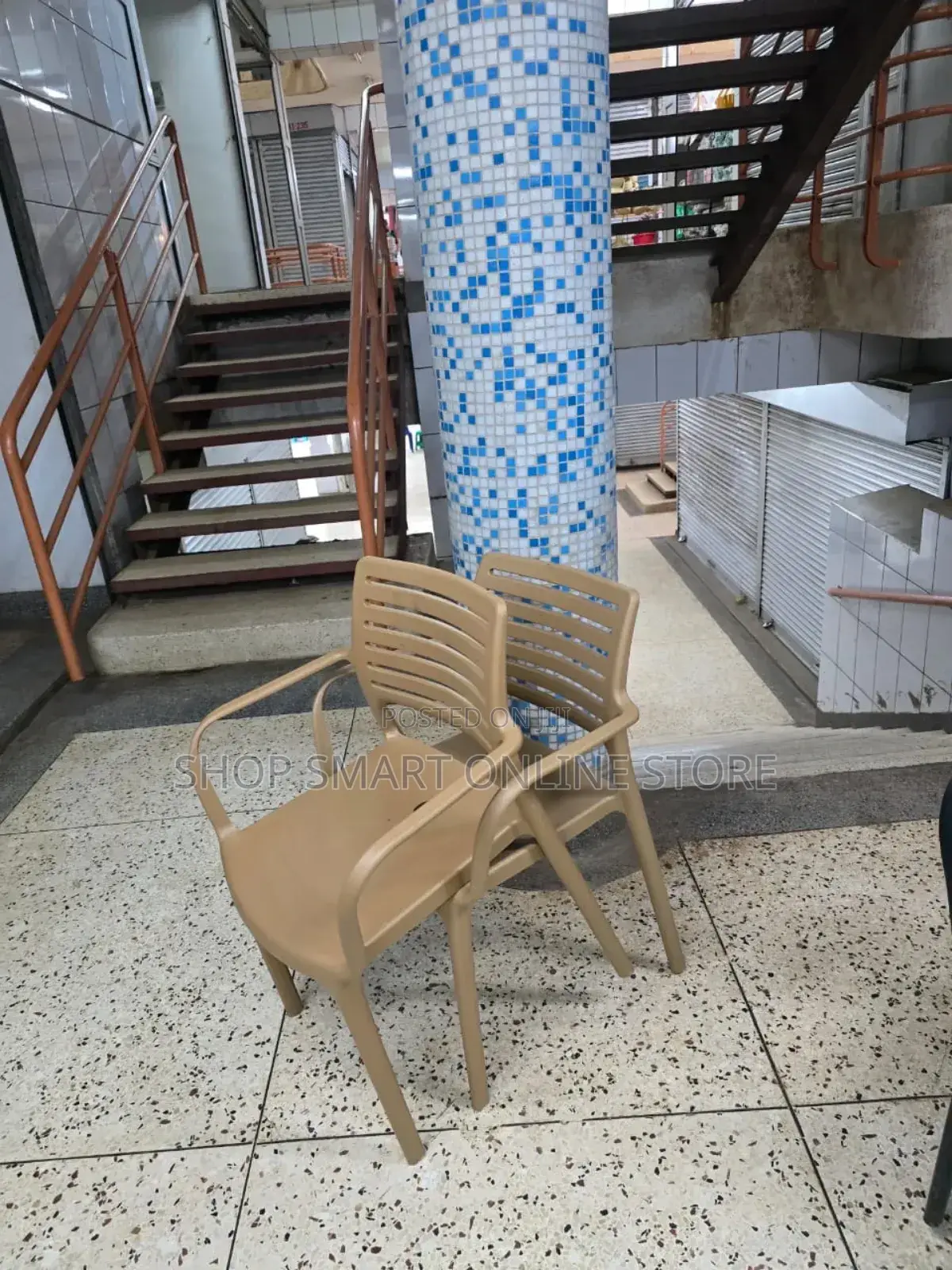 Backed Zebra Plastic Chairs Plastic Chairs