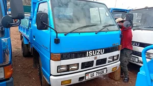 Isuzu Elf Tipper