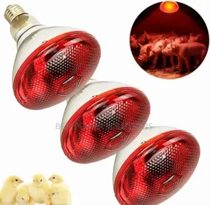 Brooder Bulb