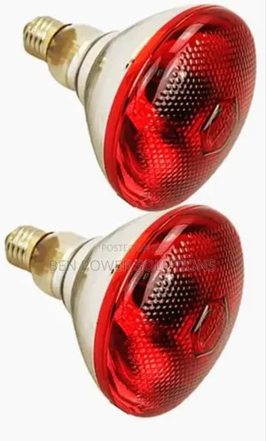 250w Tronic Brooder Bulbs For Young Animals
