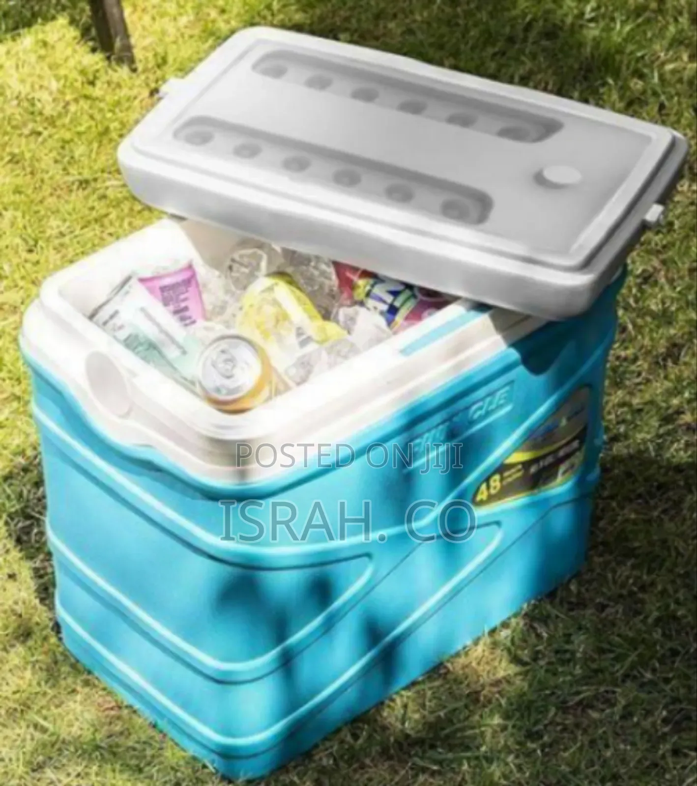 Pinnacle Portable Cooler (Or Ice Chest) With an Integrated Handle