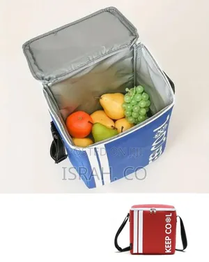 Insulated Portable Cooler Bag With Shoulder Strap