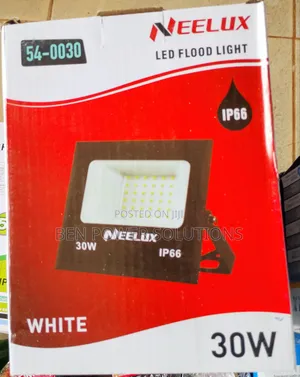 30w Neelux Ac Floodlight