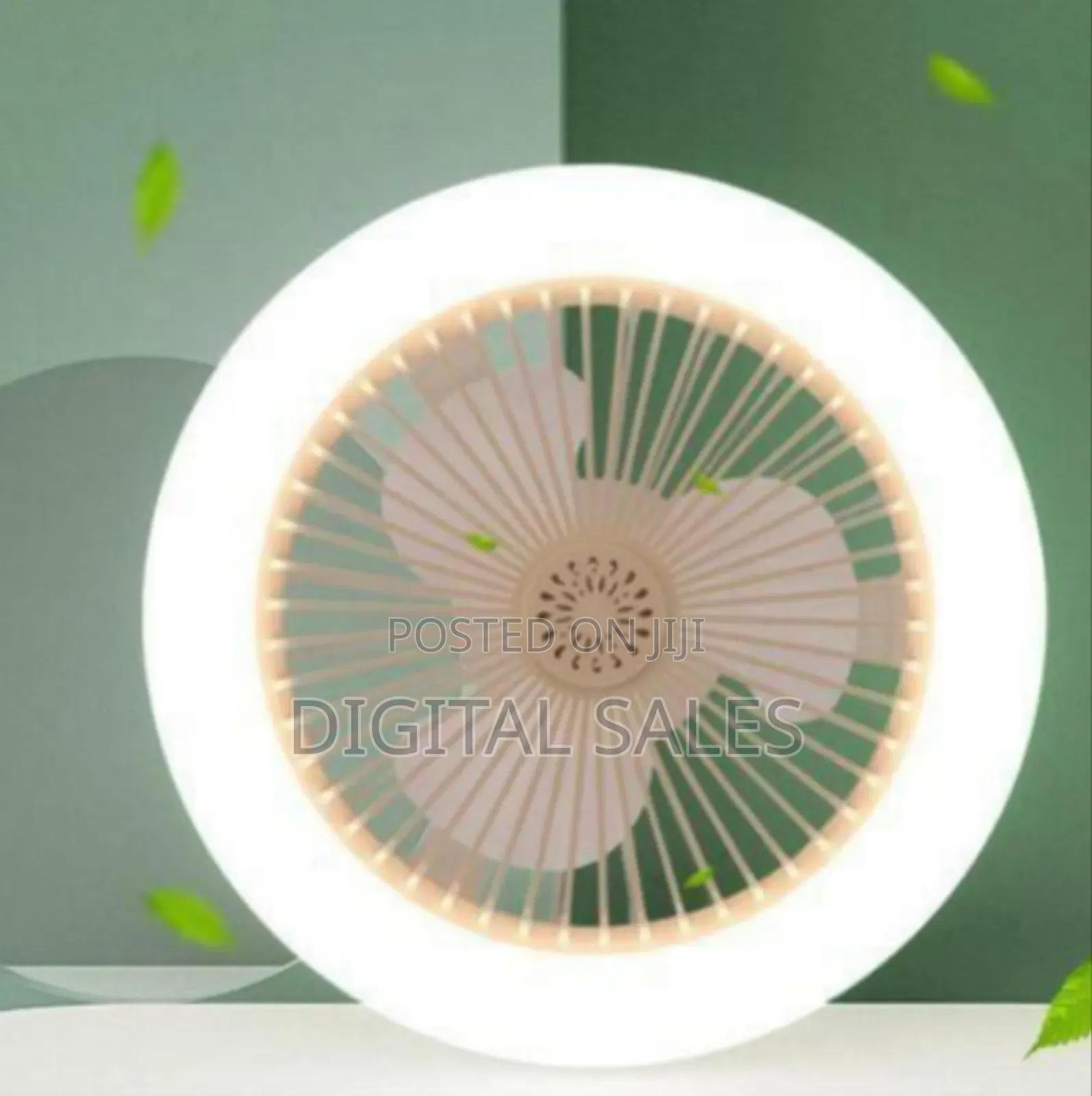 2-in-1 Ceiling Fan .