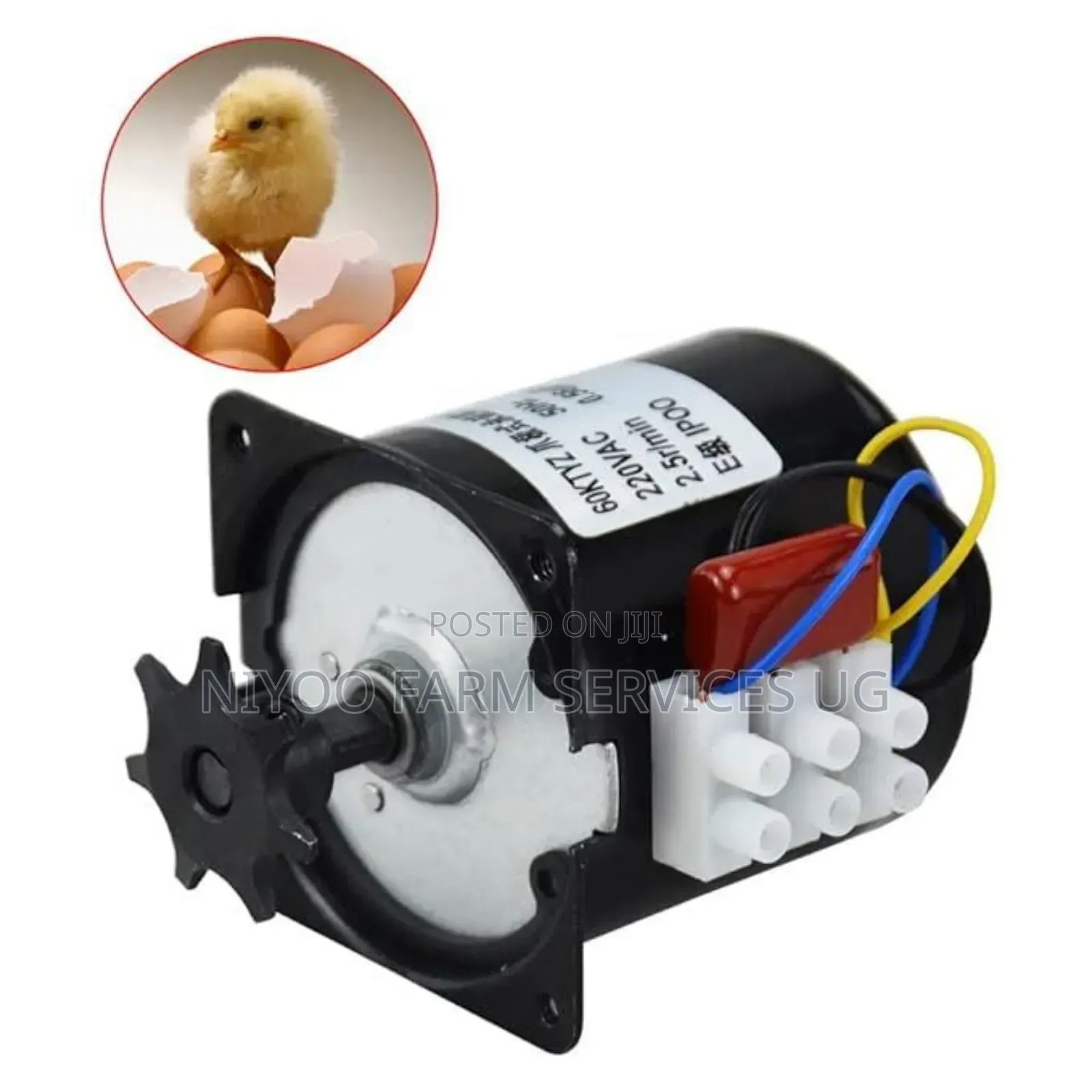 Incubator Motor