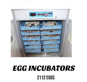 2112 Automatic Egg Incubator