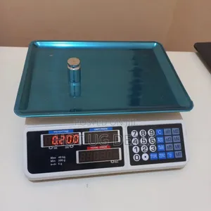 40kg Price Computing Weighing Scale For Butchery Kitchen Shop