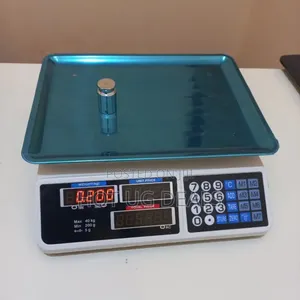 40kg Price Computing Weighing Scale For Butchery Kitchen Shop