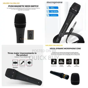 High Quality Metallic Vocals Microphone