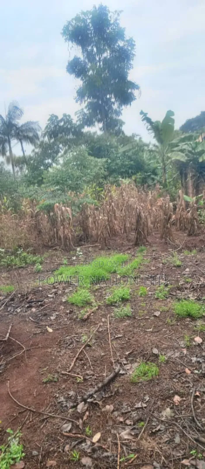 20 Decimals Plot of Land at Kyaliwajala on Kira Road