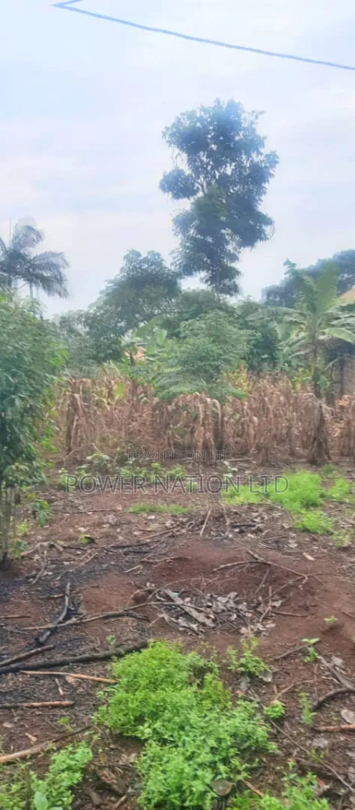 20 Decimals Plot of Land at Kyaliwajala on Kira Road