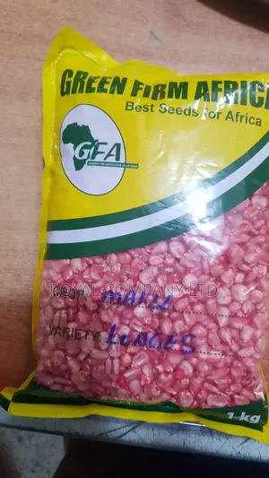 Maize Seed 1kg