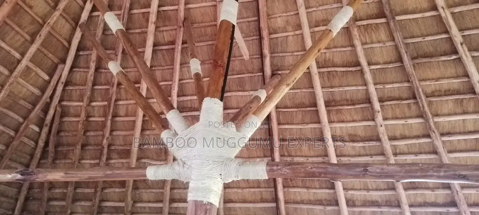 Designed Cottage