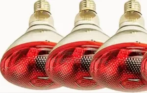 Infrared Bulbs.