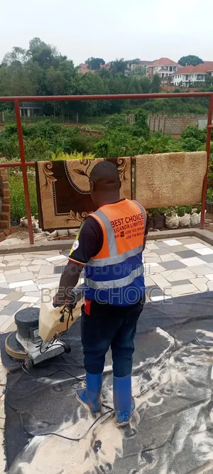 Carpet Cleaning Services Elevated