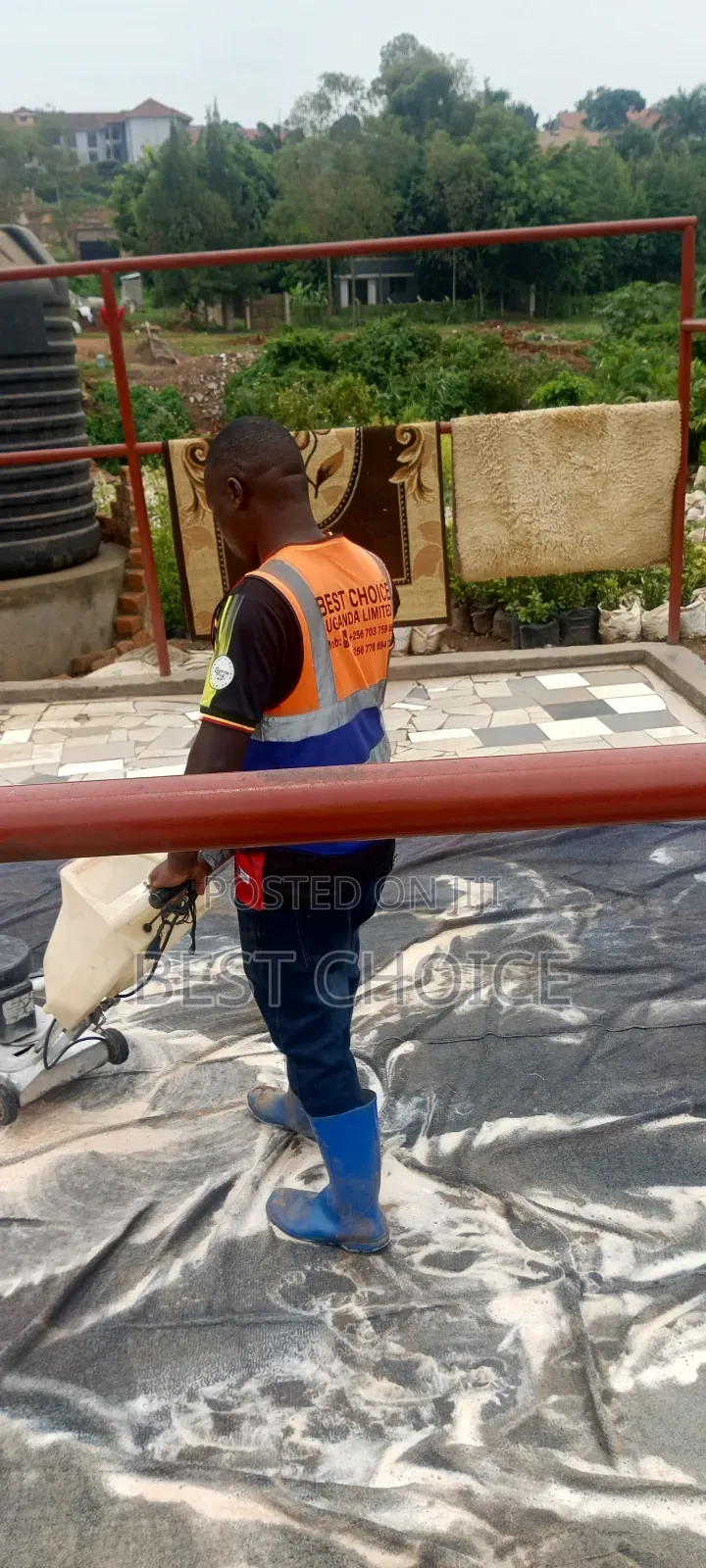 Carpet Cleaning Services Elevated