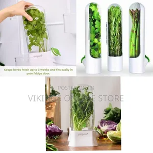 Vertical Fresh Herb and Asparagus Keeper for Refrigerator Storage