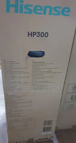 Hisense Spiker Hp 300