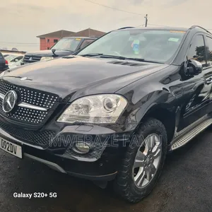 Mercedes-Benz M Class 2010