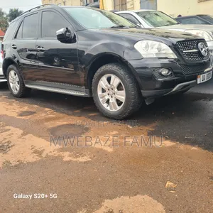 Mercedes-Benz M Class 2010