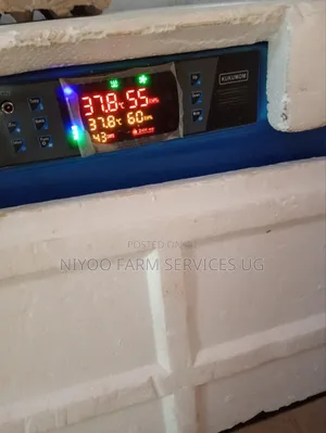 128 Eggs Automatic Incubator