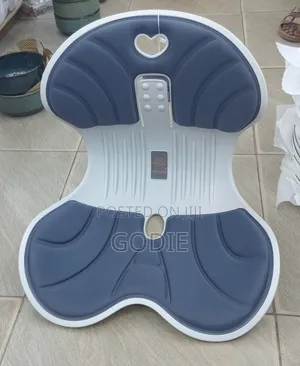 Waist Support Ergonomic