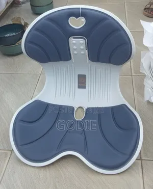 Waist Support Ergonomic