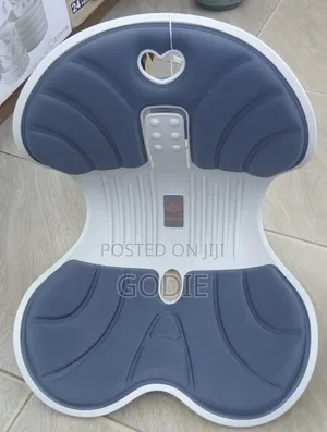 Waist Support Ergonomic