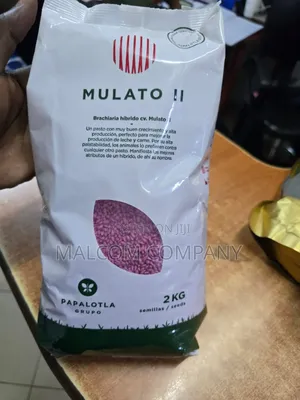 Mulato(Brachiaria) Hybrid Forage Grass for Milk Meat Production 2kg