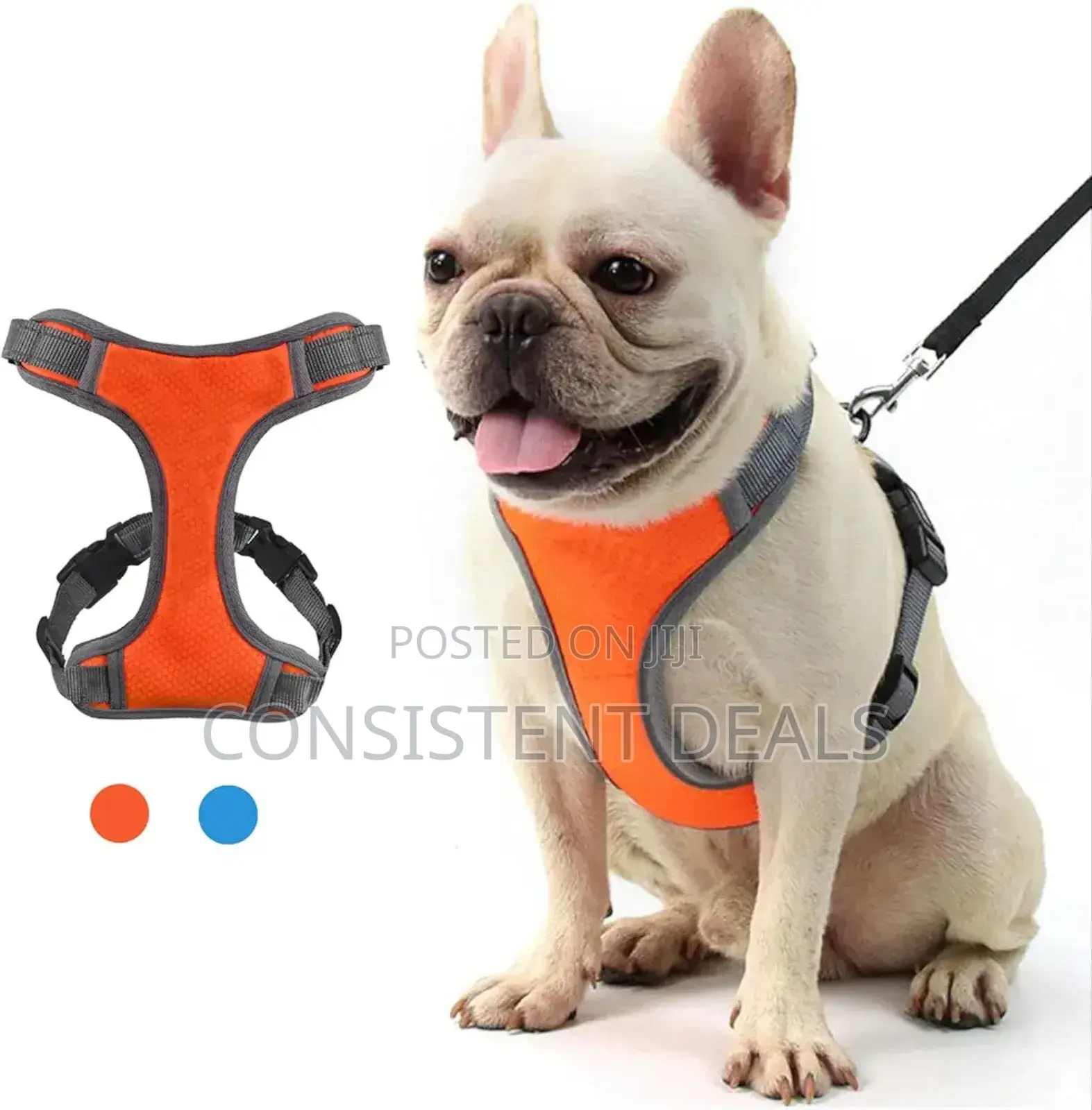 Dog Harness,No-pull Pet Harness With Double Buckle Design