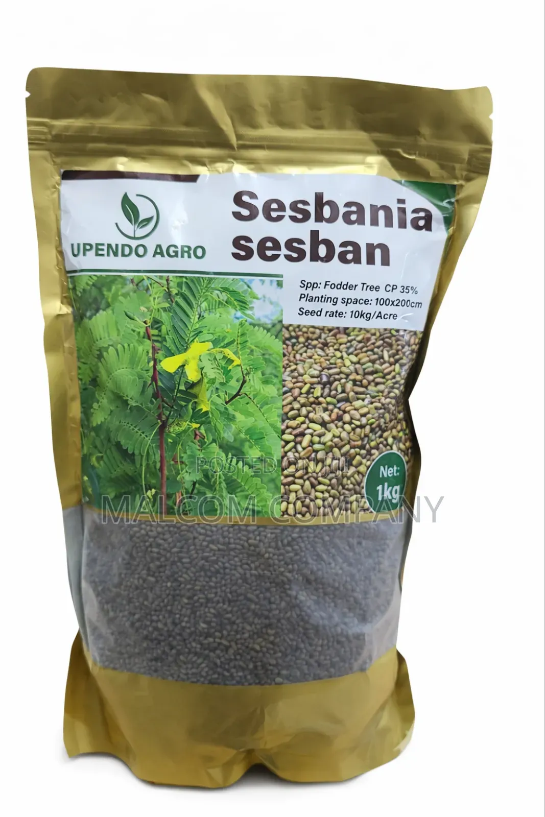 Sesbania Pasture Grass Seeds 1kg