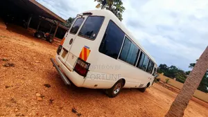 Coaster Bus Per Day