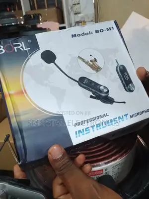 Microphone