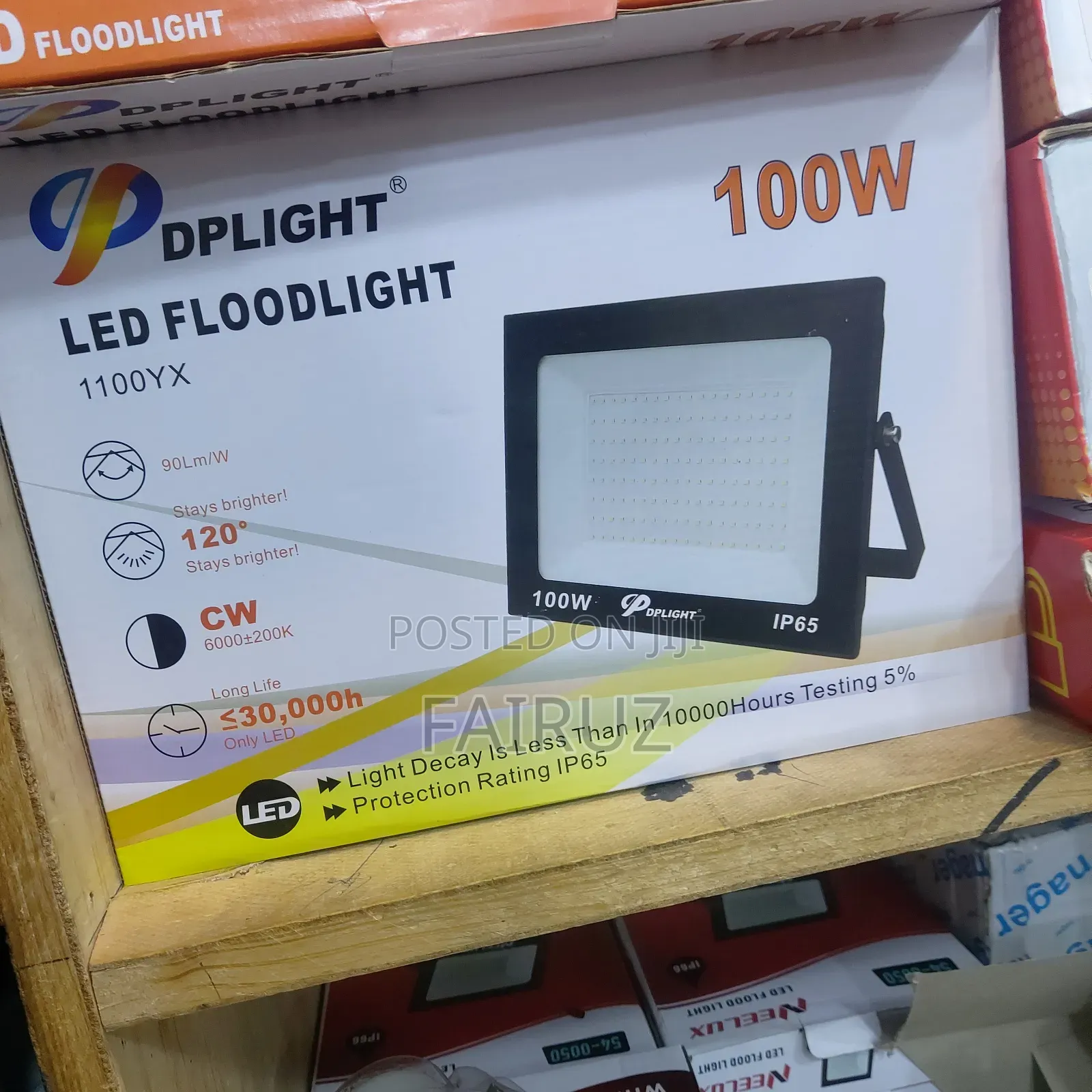 100w Dplight Electric Floodlight