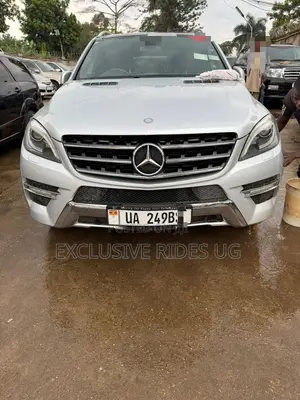 Mercedes-Benz M Class 2012 Silver
