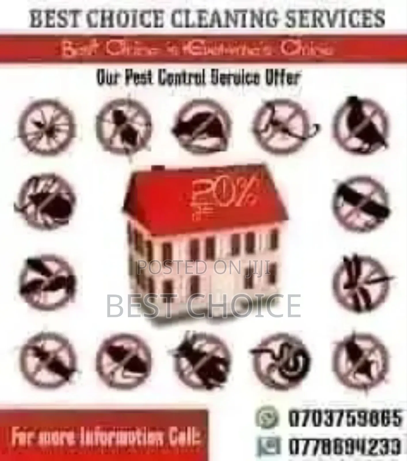 Effective Pests Control Fumigation Sanitization and Disinfection
