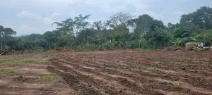 Plots for Sale 50 by 100ft Semuto