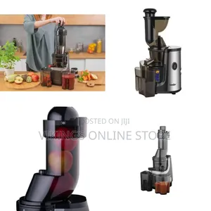 Professional Slow Masticating Juicer for Fruits and Vegetables